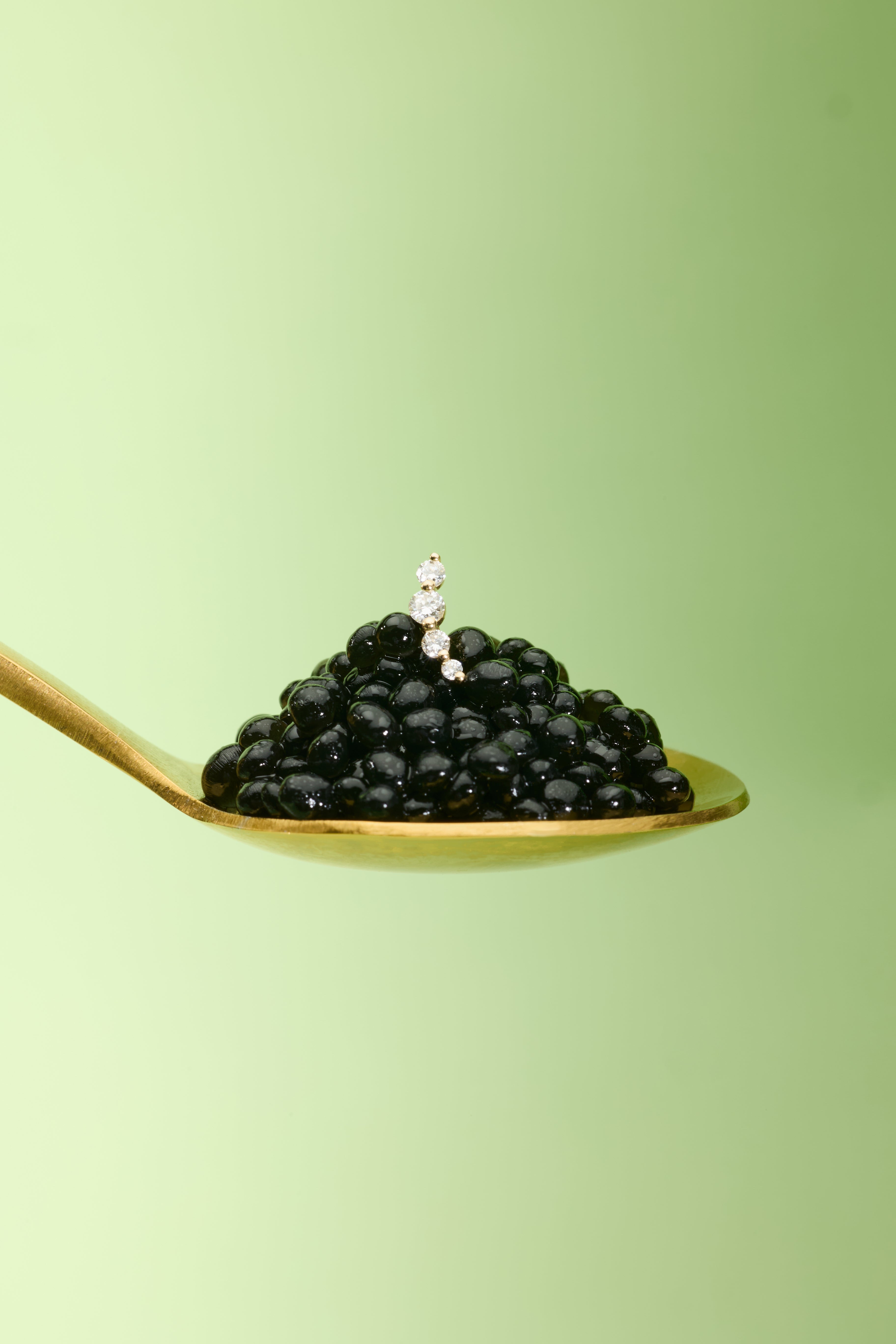 Gold spoon with black caviar on a light green background
