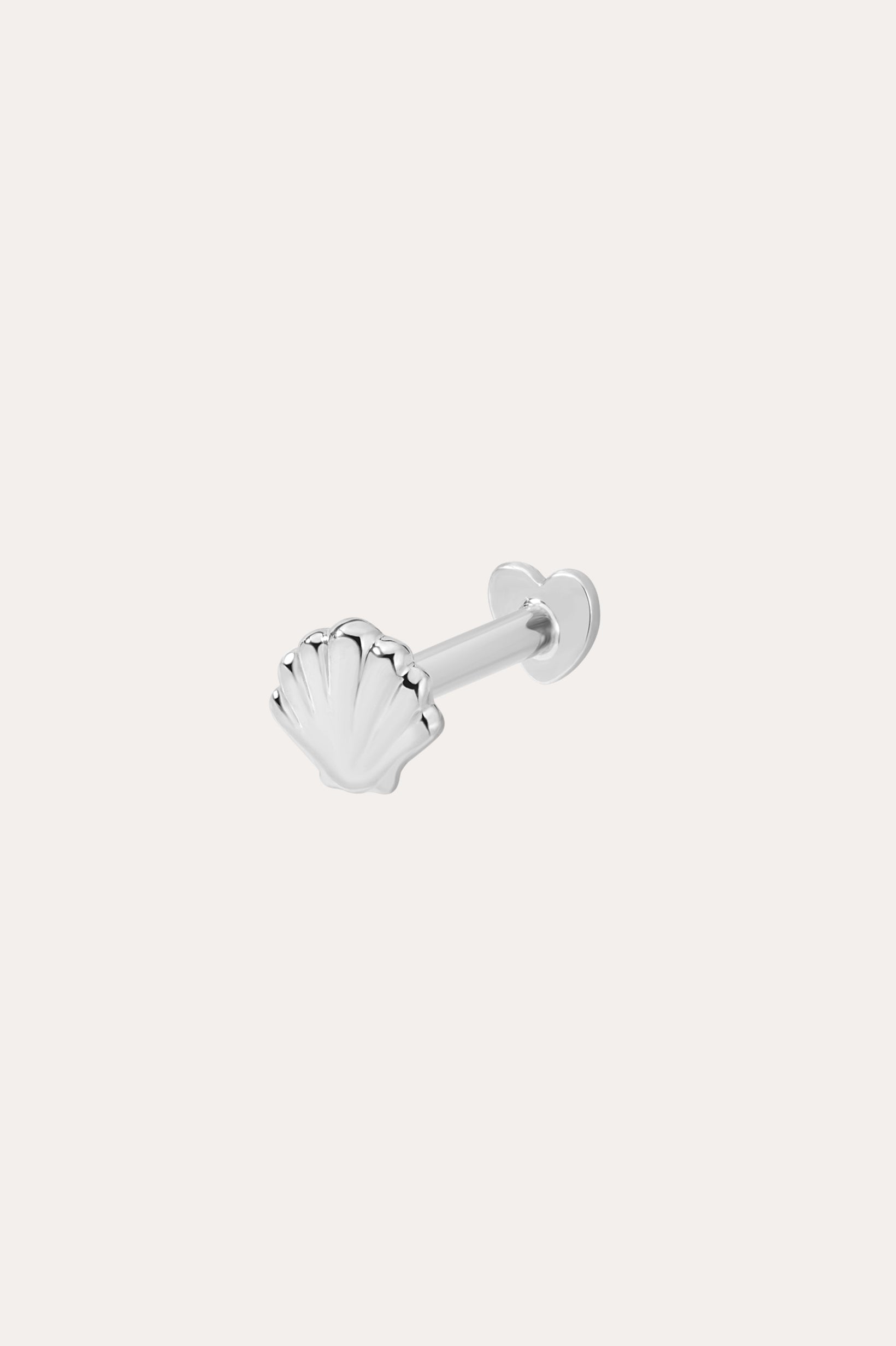 14K Solid White Gold Shell Flat Back Stud in a seashell shape, ideal for helix piercings, features a straight post and heart-shaped backing, shown against a plain white background.