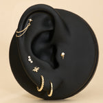Ear with multiple gold earrings on a beige background