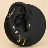 Ear with multiple gold earrings on a beige background