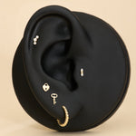 A black ear-shaped jewelry display features the 14K Solid Yellow Gold Lab-Grown Diamond Curved Trio Flat Back Stud along with four other gold and diamond earrings, all set against a beige background.