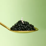 Gold spoon with black caviar on a light green background