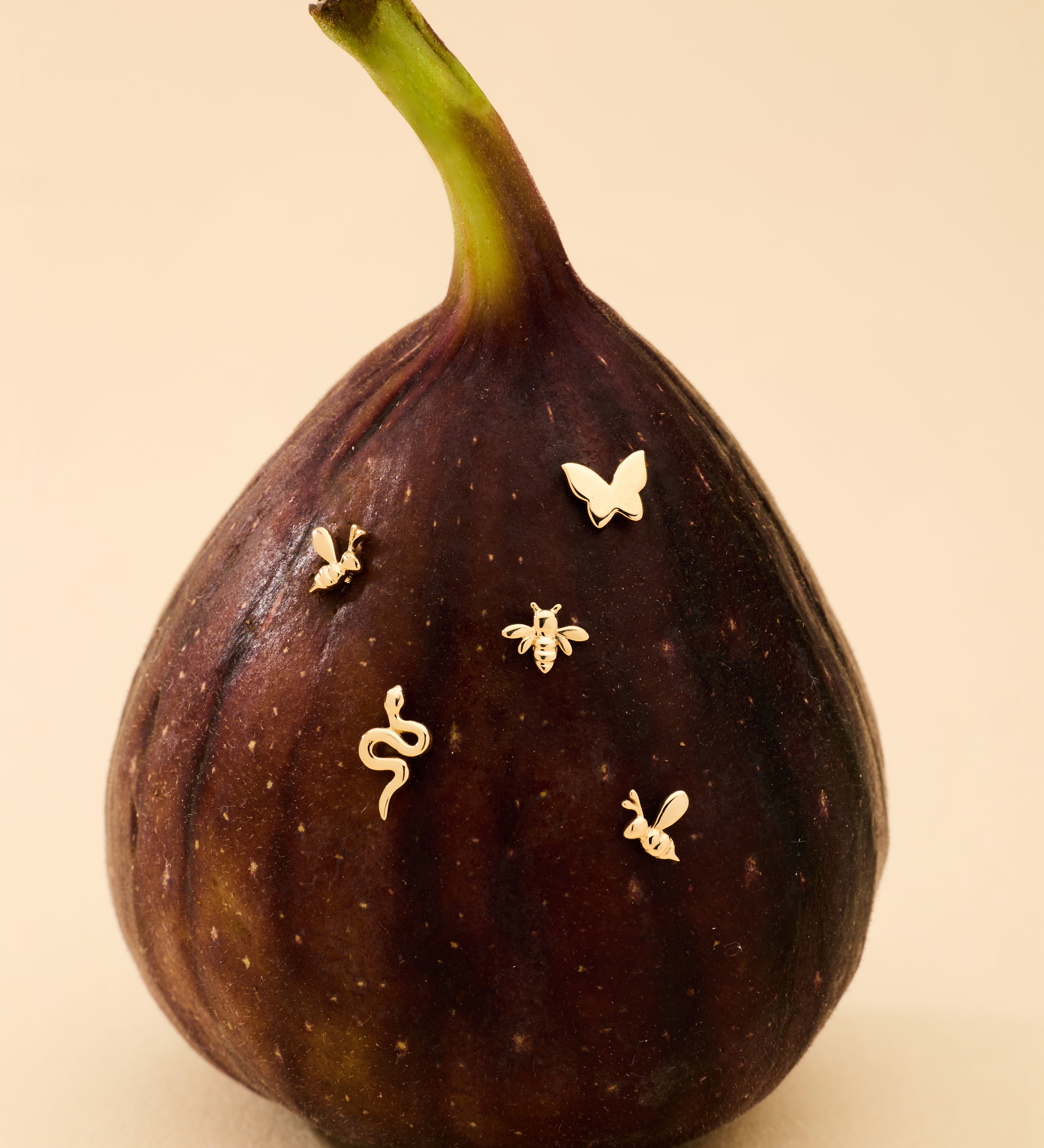 A ripe fig stands upright against a beige background, adorned with the 14K Solid White Gold Bumble Bee Flat Back Stud (Left) alongside other delicate gold pins.
